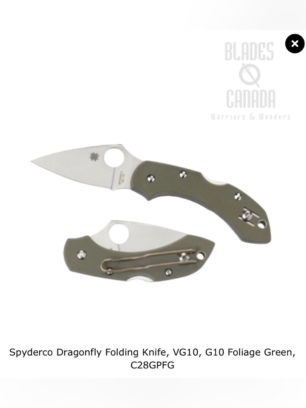 Spyderco Dragonfly Folding Knife, Foliage Green, C28GPFG